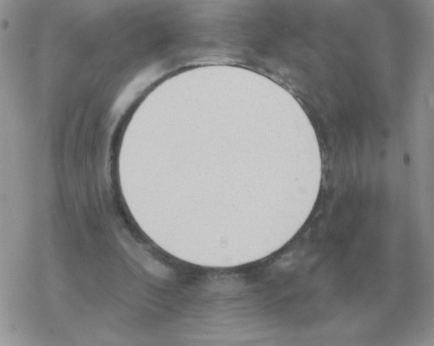 X0000077410296200611172136