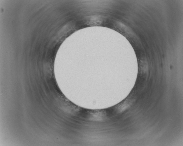 X0000077410370200611172135