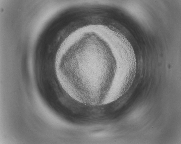 X0000077410383200611172135