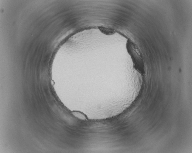 X0000077410390200611172134