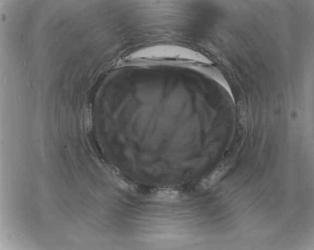 X0000077410471200611172133