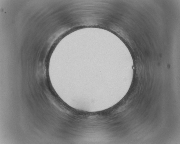 X0000077410584200611172131