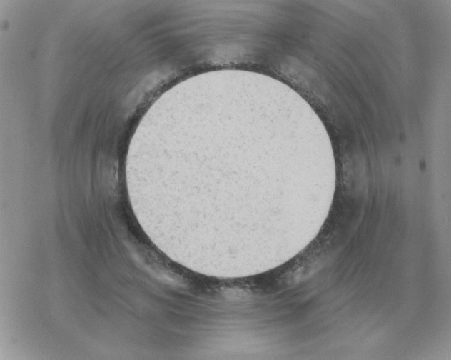 X0000077410592200611172131