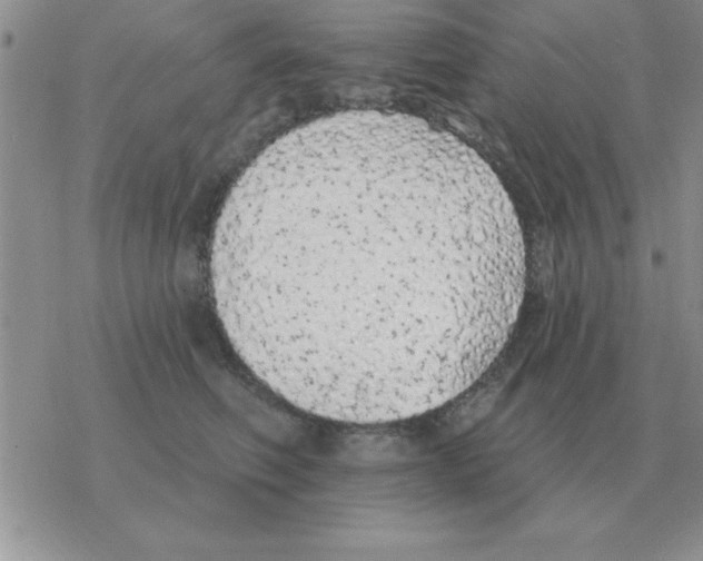X0000077410614200611172131