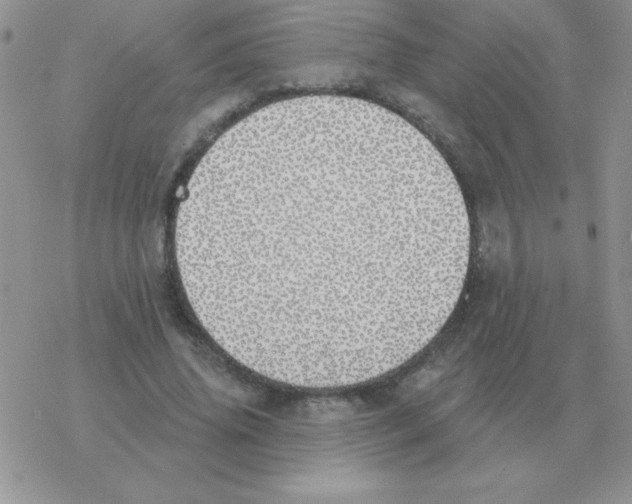 X0000077410636200611172130