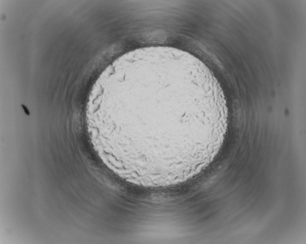 X0000077410641200611172130