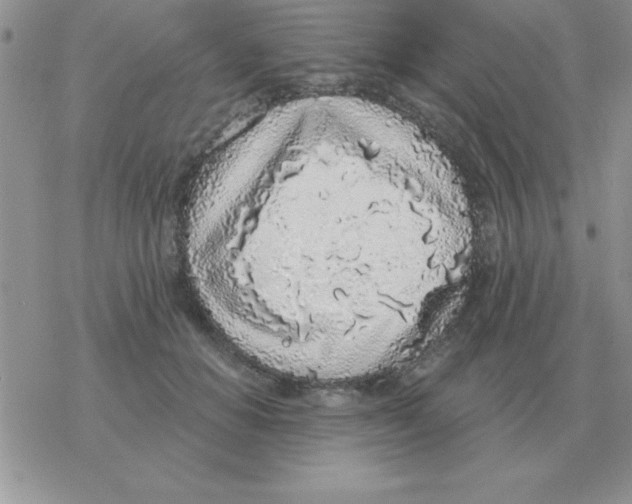 X0000077410654200611172130