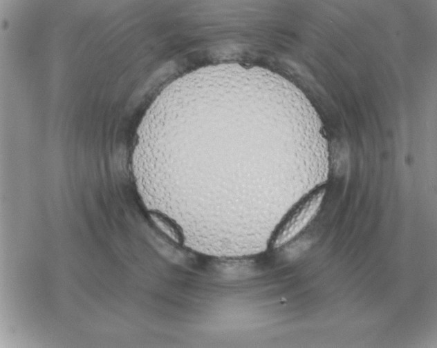 X0000077410670200611172130