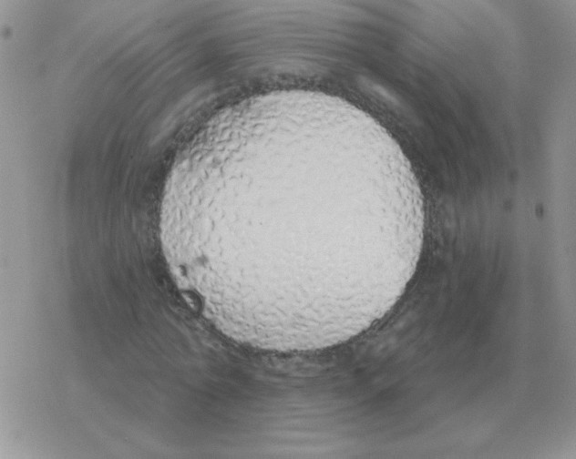 X0000077410774200611172128