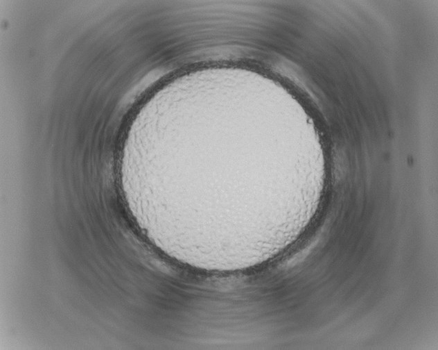 X0000077410778200611172128