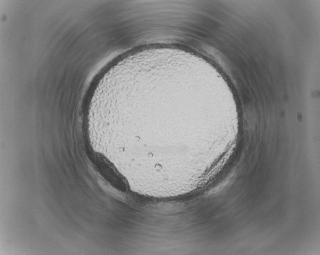 X0000077410779200611172128