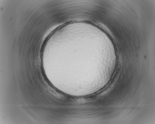 X0000077410787200611172128