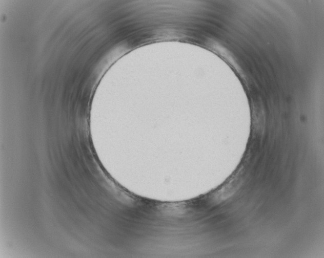 X0000077410810200611172127