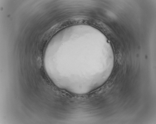X0000077410821200611172127