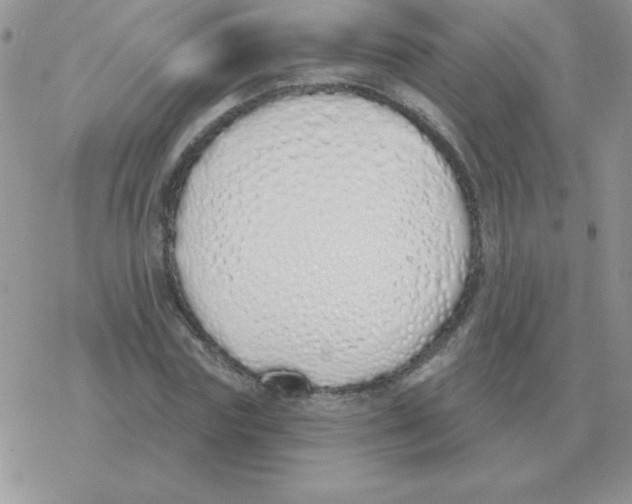 X0000077410827200611172127