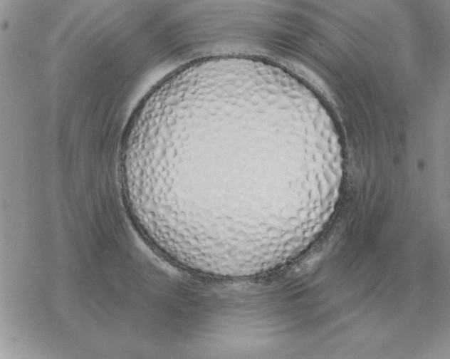 X0000077410847200611172127