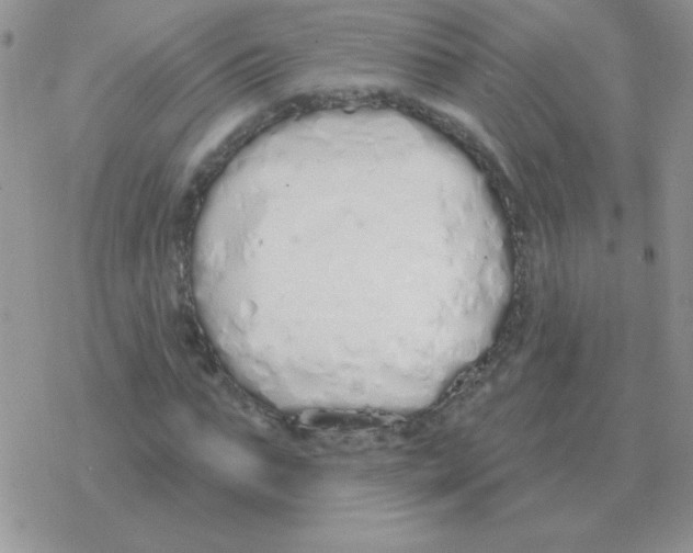X0000077410871200611172127