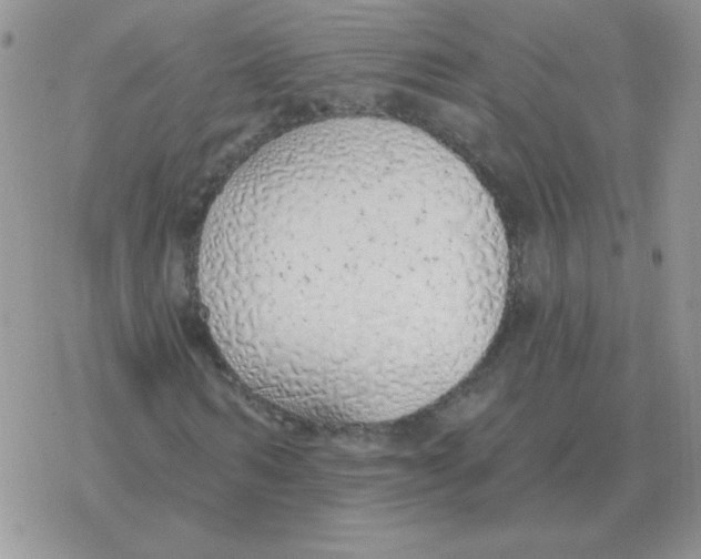 X0000077410962200611172125