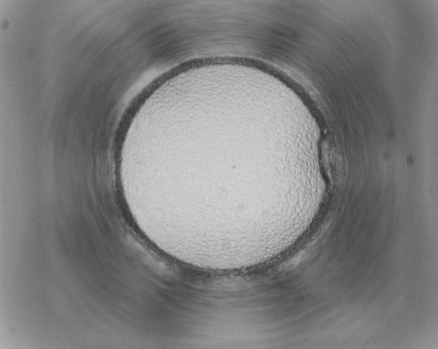 X0000077410982200611172125
