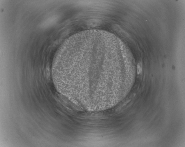X0000077411011200611172124