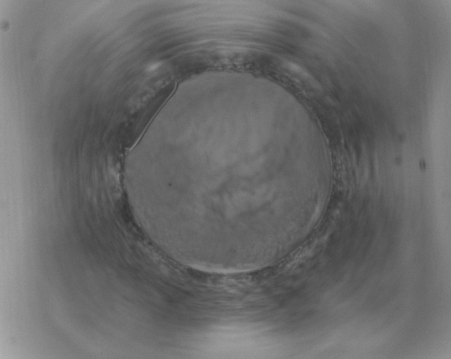 X0000077411013200611172124
