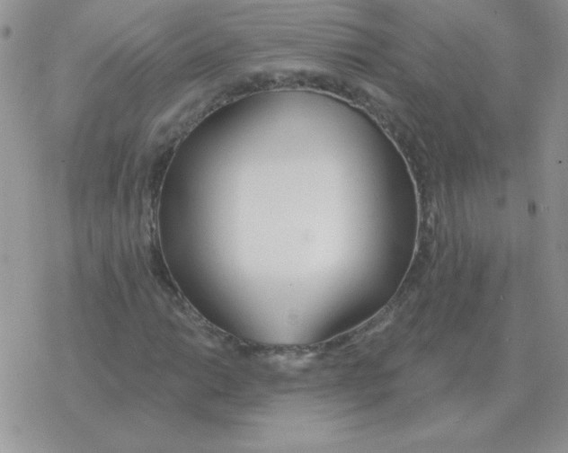 X0000077411014200611172124