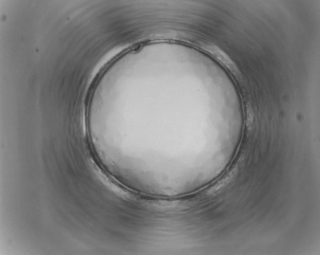X0000077411036200611172124