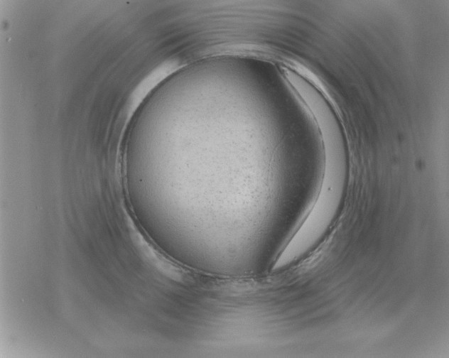 X0000077411050200611172124