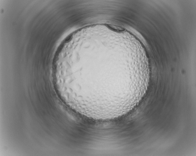 X0000077411051200611172124