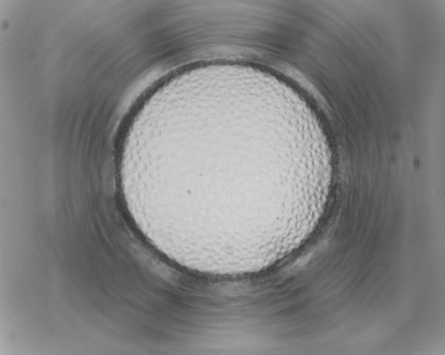X0000077411075200611172123