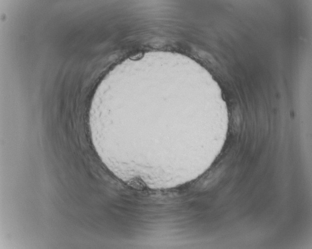 X0000077411105200611172122