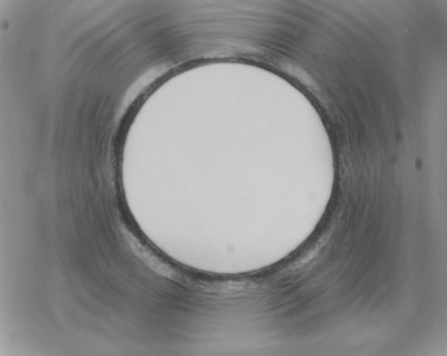 X0000077411122200611172122