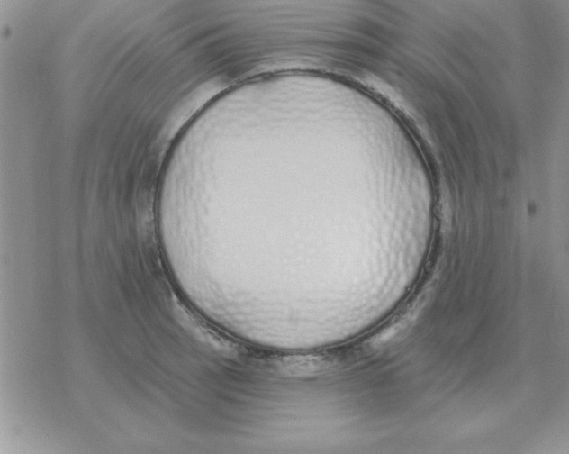 X0000077411137200611172122