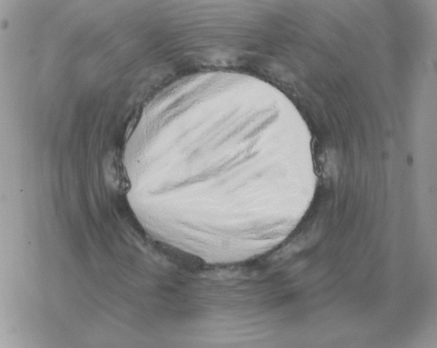 X0000077411202200611172120