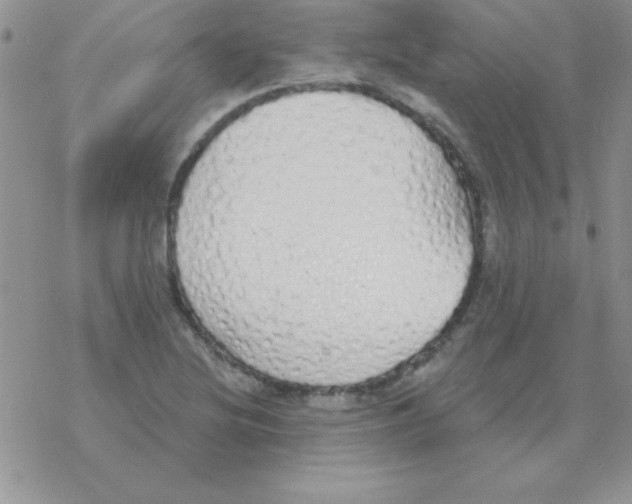 X0000077411220200611172121