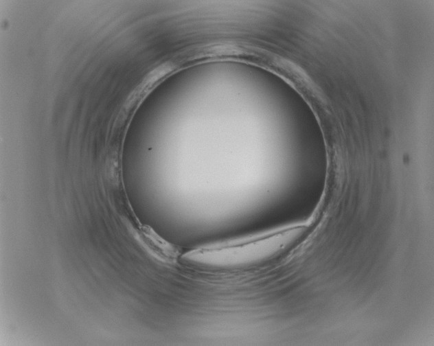 X0000077411225200611172121