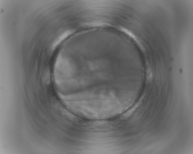 X0000077411306200611172119