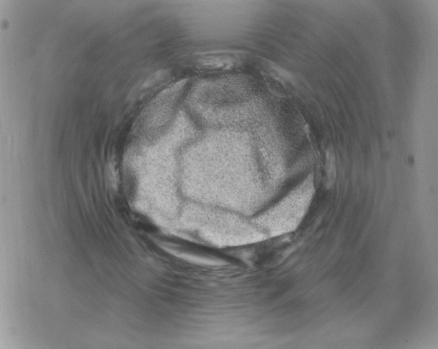X0000077411394200611172117