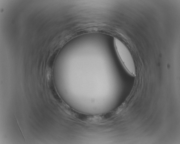X0000077970125200610270902