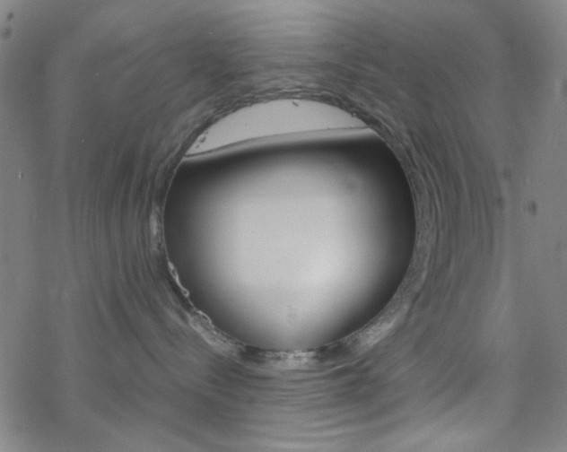 X0000077970288200610270900