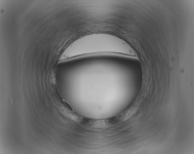 X0000077970384200610270859