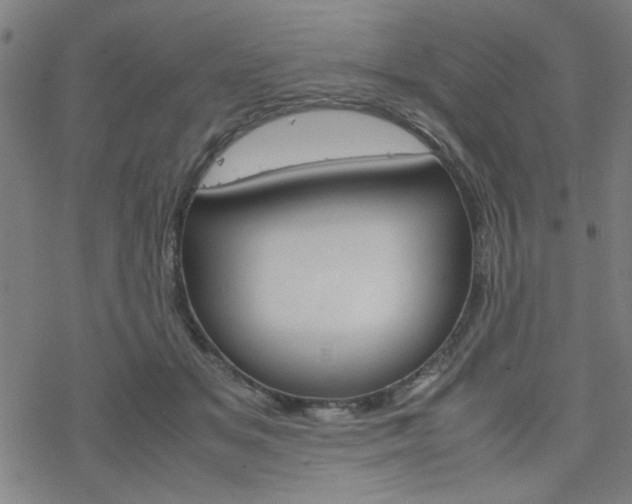 X0000077970509200610270856