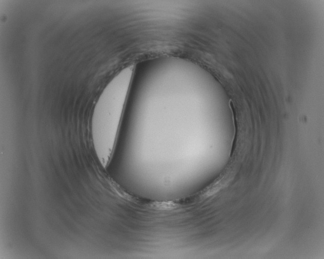 X0000077970528200610270856