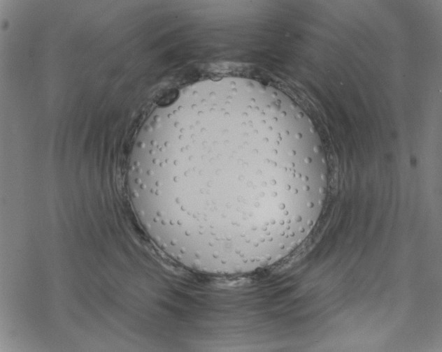 X0000077970569200610270856