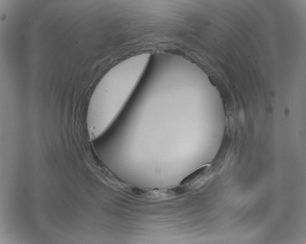 X0000077970623200610270854