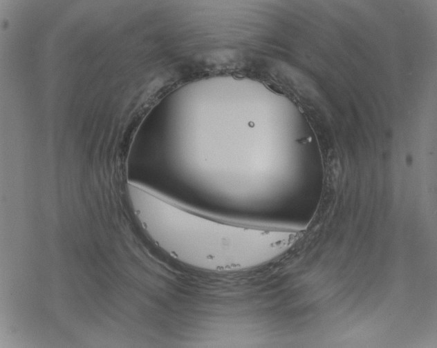 X0000077970756200610270852
