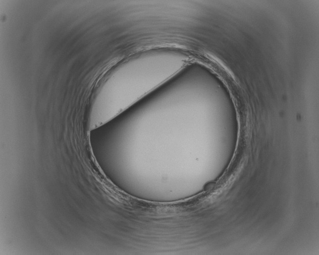 X0000077970777200610270852
