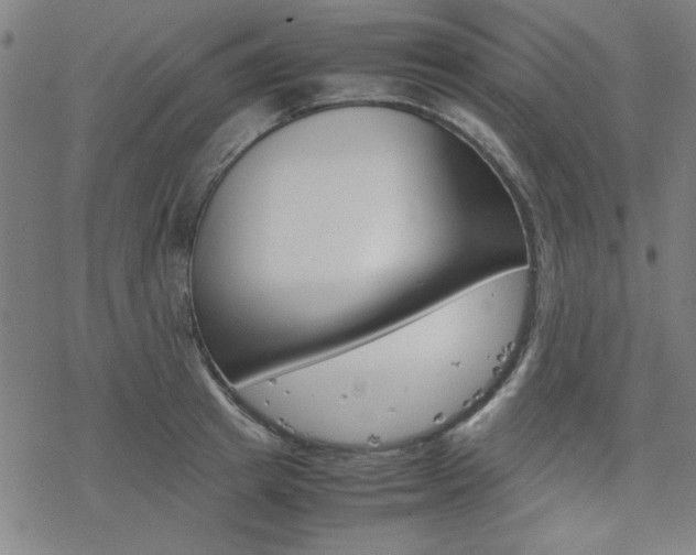 X0000077970849200610270851