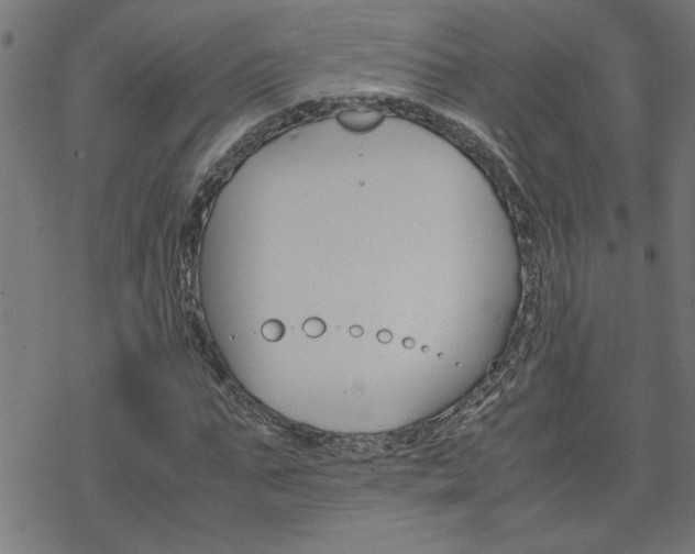 X0000077970871200610270850