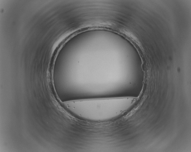X0000077970928200610270849